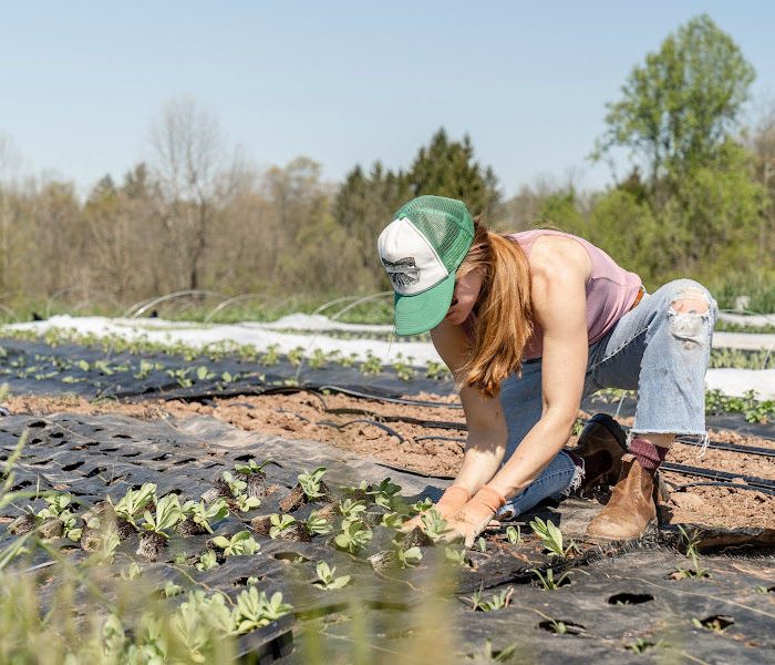 A women working in the permaculture garden